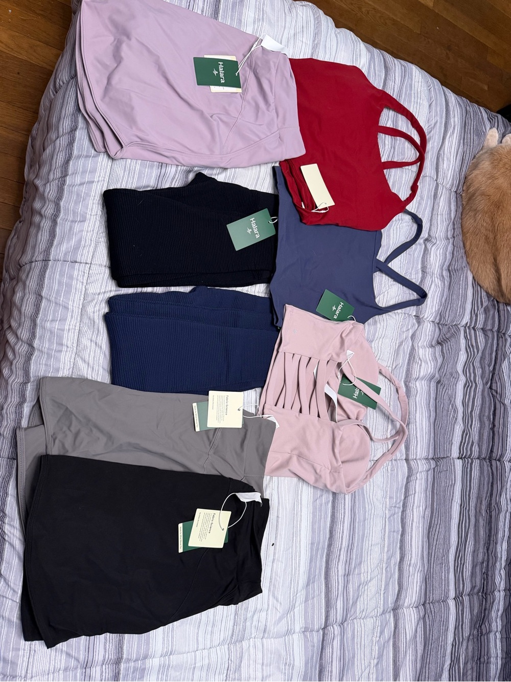 aerie Mixed Color Sports Bra Bundle - Pink, Red, Navy, Black, Gray